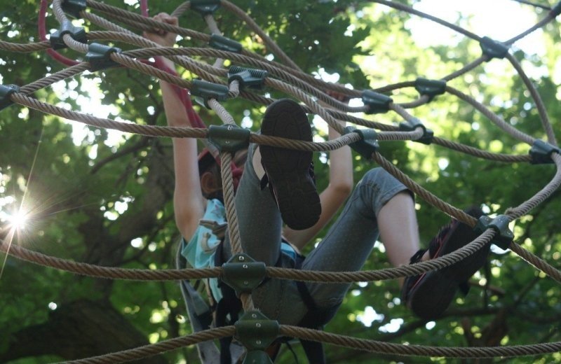 Activiteiten in de buurt
