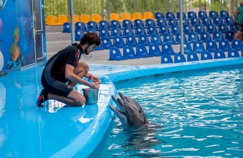 Dolfinarium