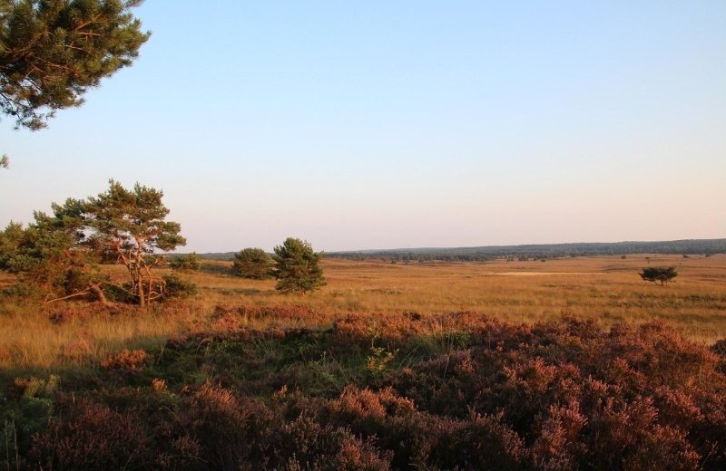 Veluwe christelijk vakantiepark