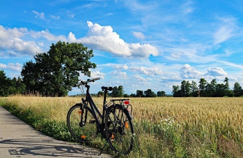 Fietsen & wandelen